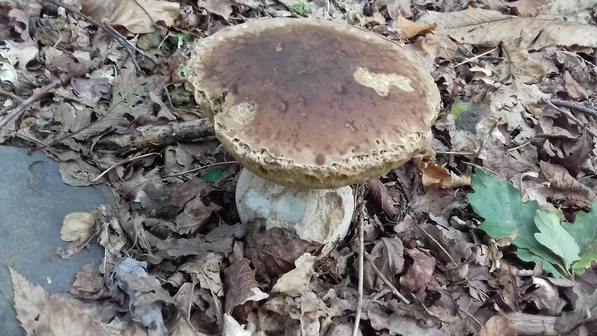 Clos A Malypense Chez Mr Montamat Galan